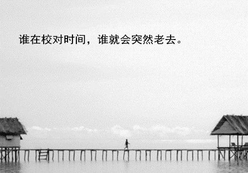 描写二月的优美句子简短