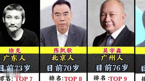 中国导演排名