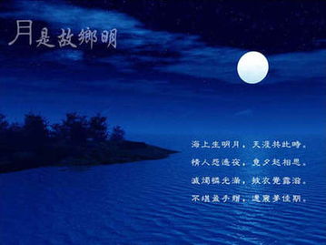 望月古诗，望月古诗杜甫