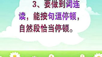 学习指导