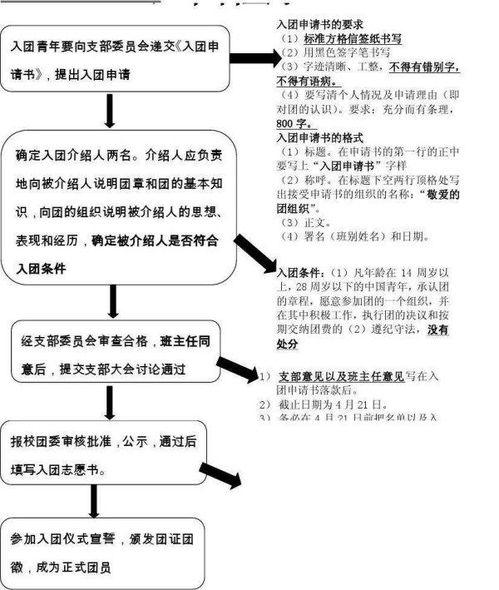 共青团入团流程步骤
