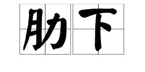 肋怎么读