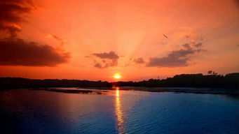 半江瑟瑟半江红全诗