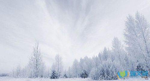 描写雪景的优美句段