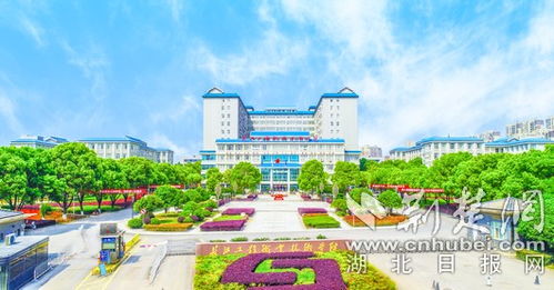 长江职业技术学院2021分数线