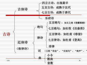 诗歌类型有哪些?