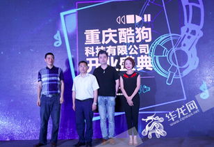 华龙音乐网的歌用手机在线怎麼放不出来