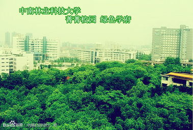 中南林业，中南林业科技大学研究生院