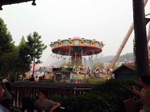 杭州乐园有蹦极吗?怎么我在官网上看不到?