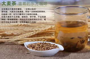 大麦茶的功效及禁忌