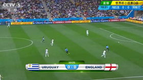 欧洲杯用英文怎么说