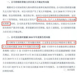 上市公司盘点审计属于什么