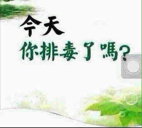 四季优美简短句子摘抄