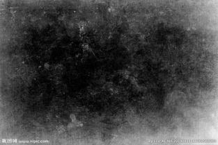 蒙尘，蒙尘是什么意思