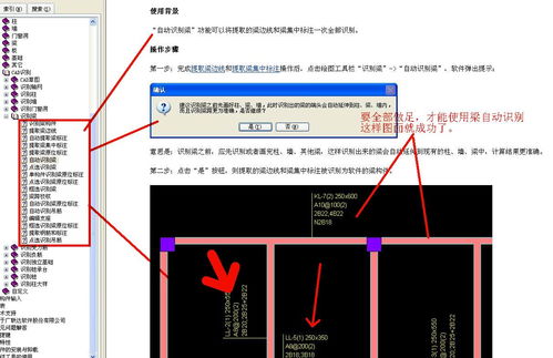 肋怎么读