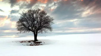 30条让人心情压抑郁闷的心情短语