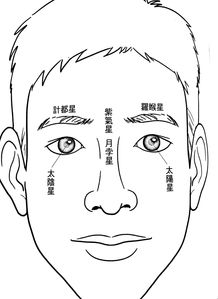 面面相觑，面面相觑的拼音