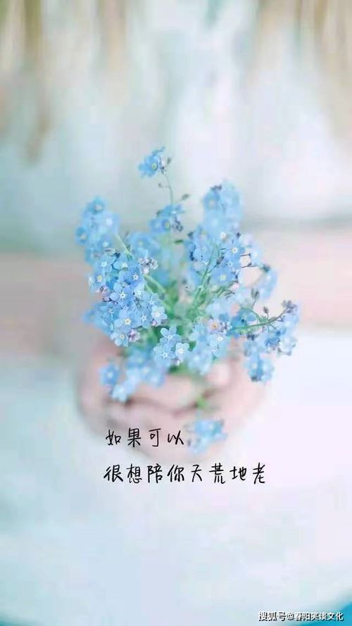 一见钟情的唯美句子，一见钟情的唯美句子英文
