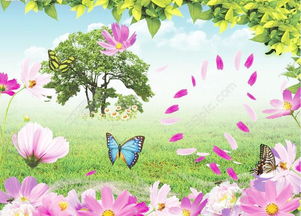 夏天的400字作文