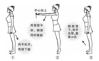 踮脚是什么意思,"踮脚"的汉语解释