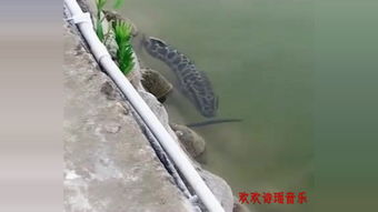 南三条母婴在哪区