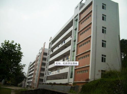 广东松山职业学院，广东松山职业学院是公办吗