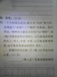 我的榜样作文