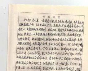 大学生社会实践评语怎么写