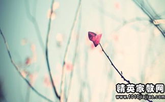 平淡幸福的唯美文案句子