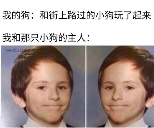 面面相觑的意思
