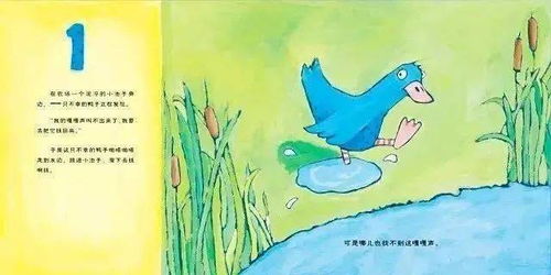 幸运的鸭子，幸运的鸭子教案反思