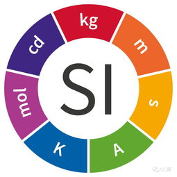 si制，si制是什么意思