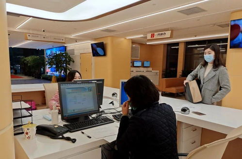 北京人力资源和社会保障局可以查社保吗?