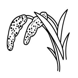 粮食简笔画，粮食简笔画图片