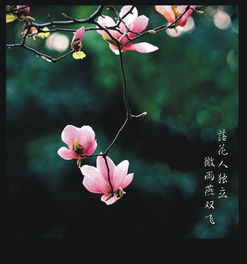 微雨燕双飞 落花人独立全诗是什么?