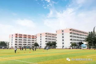 四川邮电职业技术学院大一学号怎么查