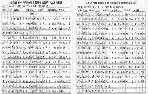 小学五年级作文