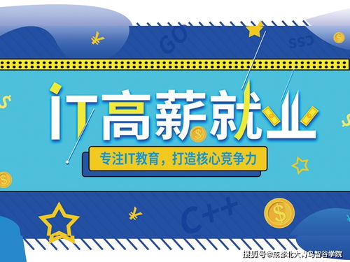软件技术适合女生学吗，软件技术适合女生学吗大专