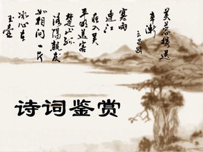 芙蓉楼送辛渐的意思