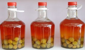 李子酒，李子酒的制作方法