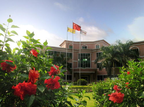 广州东风职业学院，广州市东风学校怎么样?