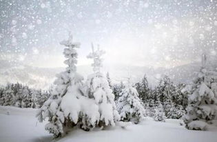 描写雪景的词语