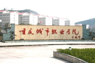 重庆城市职业学院是本科吗