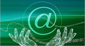 信息与计算科学专业就业方向，信息与计算科学专业就业方向工资