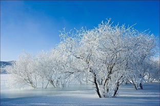 描写雪景的词语，描写雪景的词语有哪些