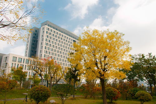 怎么查询徐州工程学院必读书报考了哪些科目
