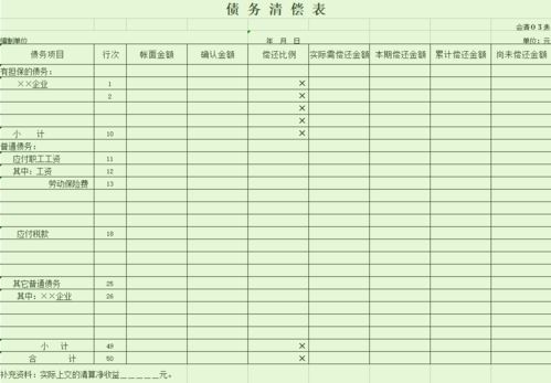 清算资产负债表格式