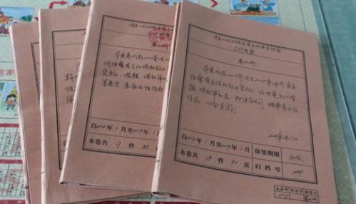 家庭出身怎么填写?