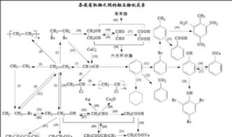 什么是有机化合物