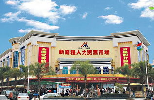 深圳人才市场在哪里